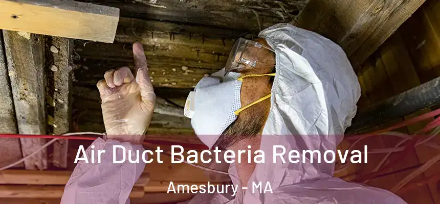  Air Duct Bacteria Removal Amesbury - MA