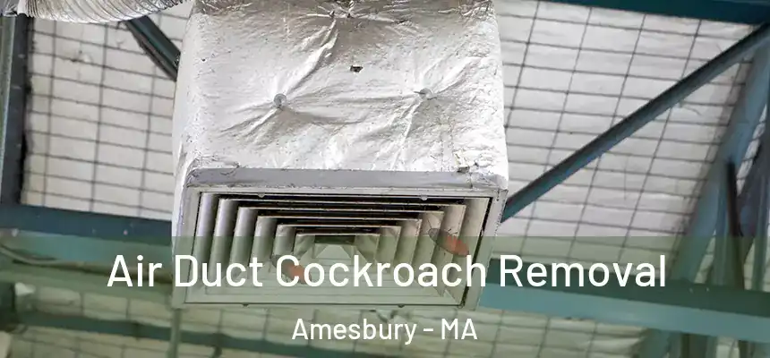  Air Duct Cockroach Removal Amesbury - MA