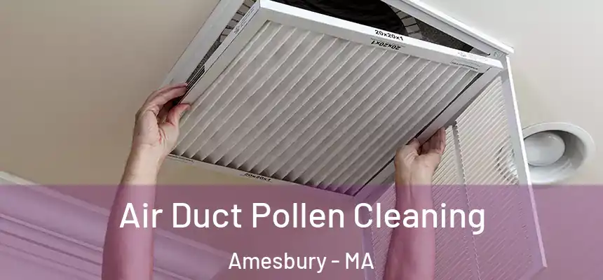  Air Duct Pollen Cleaning Amesbury - MA