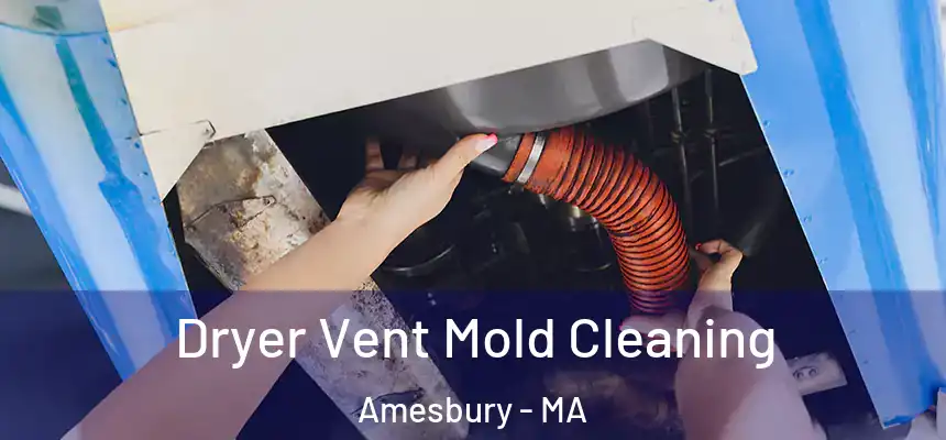  Dryer Vent Mold Cleaning Amesbury - MA