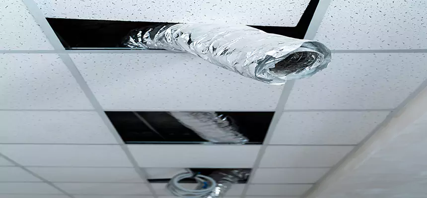 Our Air Duct Pet Hair Removal Services in Amesbury, MA