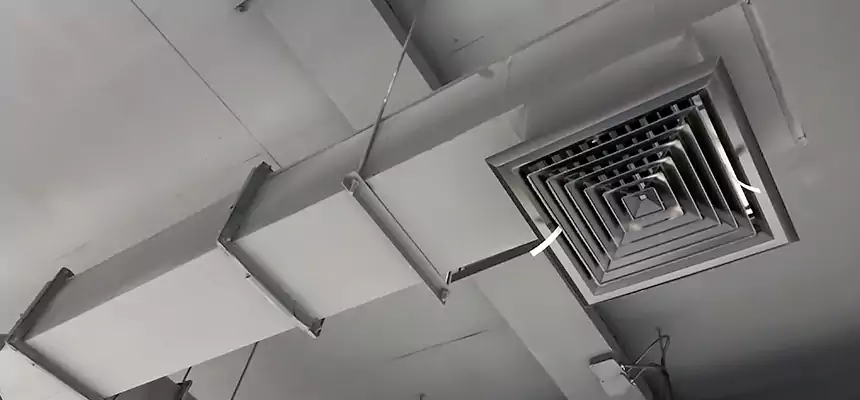 Our Rodent Droppings In Vents Services in Amesbury, MA