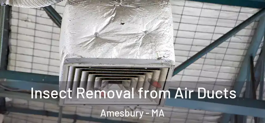  Insect Removal from Air Ducts Amesbury - MA