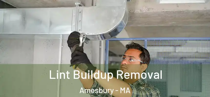  Lint Buildup Removal Amesbury - MA