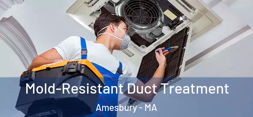  Mold-Resistant Duct Treatment Amesbury - MA