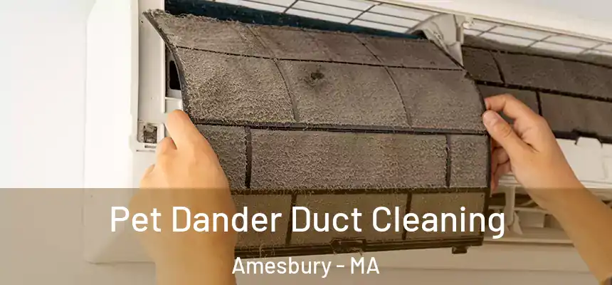  Pet Dander Duct Cleaning Amesbury - MA