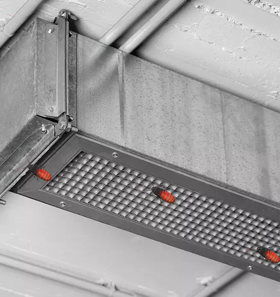 Affordable Insect Removal from Air Ducts in Amesbury, MA