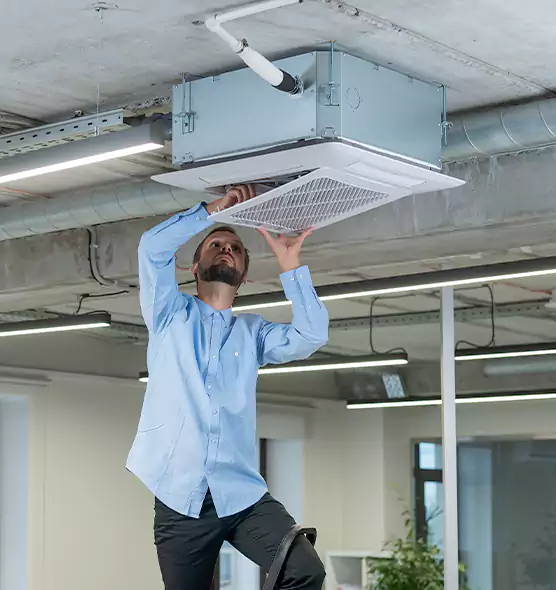 Advanced Rodent Droppings In Vents in Amesbury, MA
