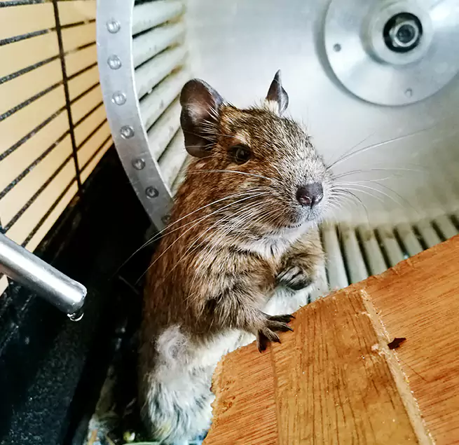 Why Homeowners & Businesses Trust Us Amesbury, MA