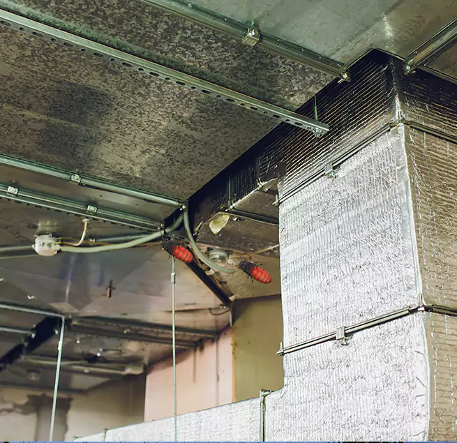 Why Homeowners & Businesses Trust Us Amesbury, MA?