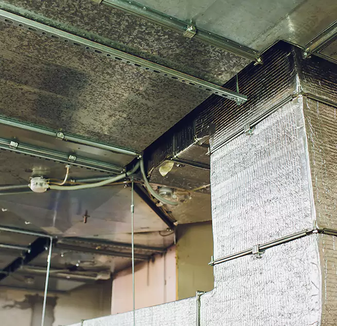 Why Homeowners & Businesses Trust Us in Amesbury, MA?